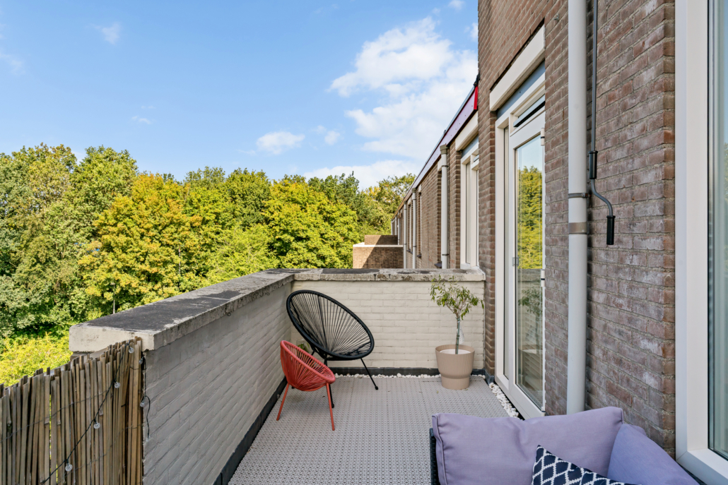 290251481