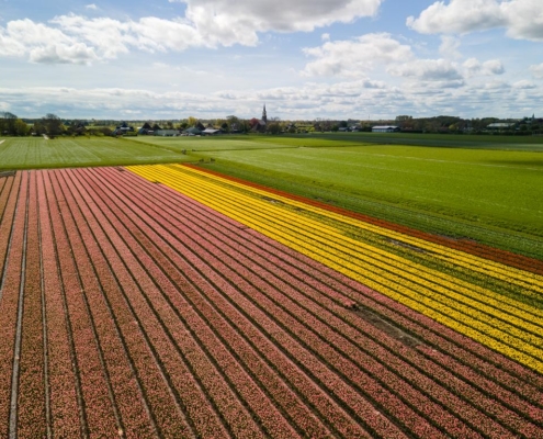 181361341
